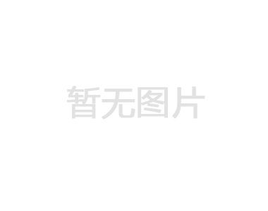 2022-1電梯鼓式制動器專項排查治理統計表